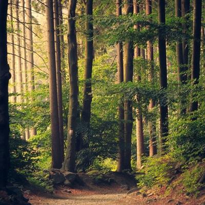 博鱼·体育中国官方网站截图