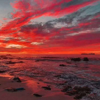 im电竞官方app下载