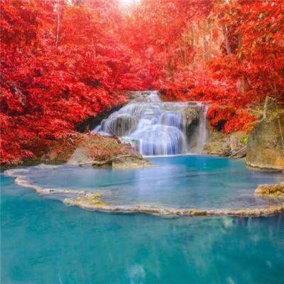 澳门2023全年免费资料大全手机app下载