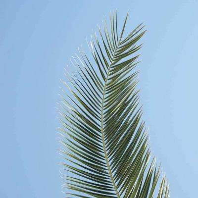 2023年新澳门今晚开特马手机app下载截图