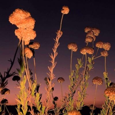 亚虎娱乐手机app下载