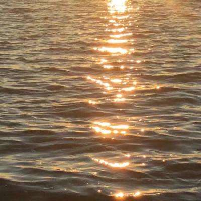 大发彩票手机app下载